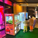 인형뽑기 이미지