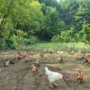 이유농장 이미지