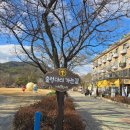 이마트24 거창코아루점 | 2025년 거창 수승대 눈썰매장 주차, 비용, 시간, 후기