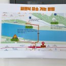 피크닉 | 동촌유원지 피크닉 낭만가득 피크닉 후기+위치 공유 라운드피크닉