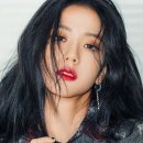 벨리티 이미지