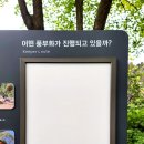 서울스카시 이미지