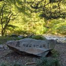 내원사계곡(내원사) | "2025 내원사 계곡 최신 후기｜여름 물놀이 장소 찾는다면 여기?!🌿💧"