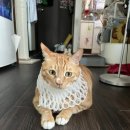 채원농장 이미지