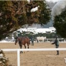 인종목장 이미지