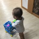 최종화농장 이미지