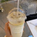 율목애견 이미지