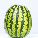 신원동-5 이미지