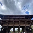 용담면 8587[48-11] | 4月） 6박 7일 일본 오사카 혼자 여행 갔다!(1)_입국만 한 첫째 날, 나라 당일치기 둘째 날