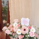 로라스텝 네이버블로그