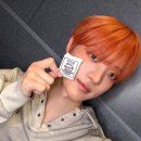 봉이