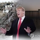 트럼프 "국가비상사태 선포할 것"…국경장벽 건설 강행(종합) 이미지