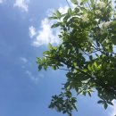 몸애, 끌림 이미지