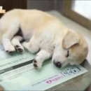 동연농장 이미지