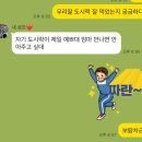 샤인유치원 | 유치원 소풍 도시락 실패 없는 꿀조합! 다이소·쿠팡템 활용 후기