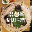 트리플명품한우교대본점 | [교대역 맛집] 유성옥 돼지국밥 서초본점 26년 여름 가족 외식 장소 추천 돈복쟁반 평양냉면 맛집