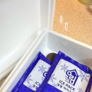 태성축산 | 집에서 한우 스테이크 즐기기, 구미우 한우 등심 1++9등급 구이 후기