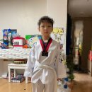 국기원9단체육관 | 검은띠) 도전기. (2024년 6월 30일 국기원 승품/단 심사 합격 후기, 느낀점), 태권도 승품/단 체계와...