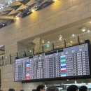 공항로4L | [제주 여행] 기다리고 기다리던 제주스냅..📸 웨딩촬영은 핑계고 ~ 😎 3박 4일 여행 🍊 (픽자스냅 / 제주...