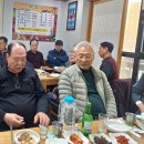 양양초등학교 Daum카페