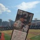 중앙-5 | 사직야구장 롯데자이언츠 중앙탁자석 33블럭 5열 시야 경기 직관 후기