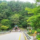 경남거창 금원산 생태수목원(2024.8.27)