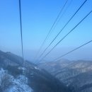 회원동122 | 겨울 강원도 평창/봉평 여행기 1 (+발왕산케이블카 30%할인)