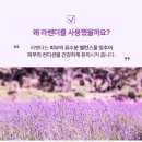 라이프기빙 이미지