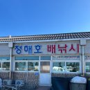 꼬독 | 속초여행 필수 체험 추천 | 속초배낚시 처음인데 너무 재밌었던 리얼 후기