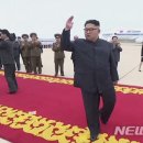 하나비디오