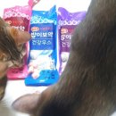 설이헤어라인 이미지