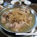박광수농장 이미지