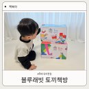 시간토끼 | 3세 유아전집 고민 끝 블루래빗 토끼책방 언박싱 후기