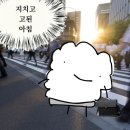 다온.댕 | [11월 일상] Happy 500 Days 🖤