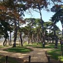 웅치면사무소 이미지