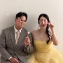 카페블룸옐로우 | W24. 스튜디오 - 버드투블룸 / 소품 컨페티씬