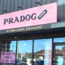 프라독 쿡 네이버블로그