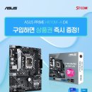 D4 이미지
