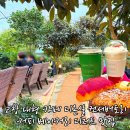 백향식품 | 고창 대형 카페 디온실 컨서버토리 커피 베이커리 디저트 맛집 내돈내산