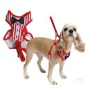 우쭈쭈애견샵 이미지