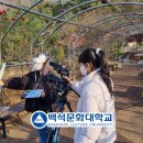 석미디어