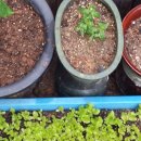 양명 경로당 이미지