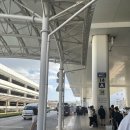 허슬러(26) | 오키나와 태교여행 필수 오달렌터카 이용 후기