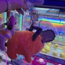 뽑끼# Daum카페