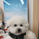 코코바리 이미지