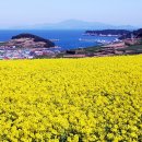 야반도주했던 형님이3년만에 내게 몰래보낸택배상자"내위치 시댁엔 절대 알리지마-동서만알고있어야돼!"상자를연 순간 시댁의소름 돋는실제 이미지