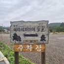 군청 메타세콰이어길 | [경북 영덕] 영덕 웰니스 여행코스 벌영리 메타세콰이어 숲 푸르름이 있는 숲길