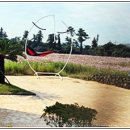 비자림빌리지 이미지