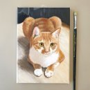 그린올리브 이미지