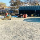 번천 | [충북 오창]🥘 아는 사람만 아는 곳 ‘번천마을’│충북 오창 시골집 같은 보양 맛집에서 염소탕 포장 후기✨